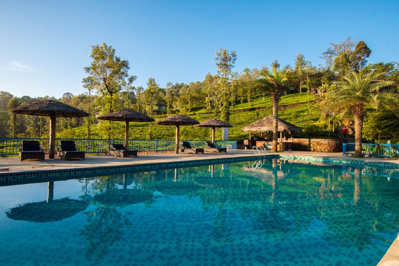 Pool Jungleresortreservation in pool-jungleresortreservation-in