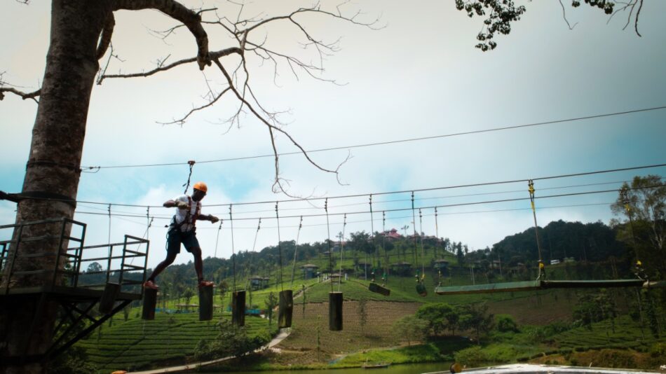 Zip Line